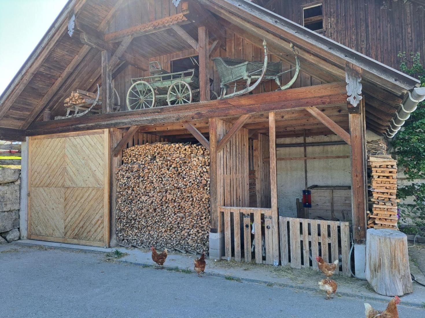 Ferienhof Brunbacher Wolfgangsee Saint Wolfgang Zewnętrze zdjęcie
