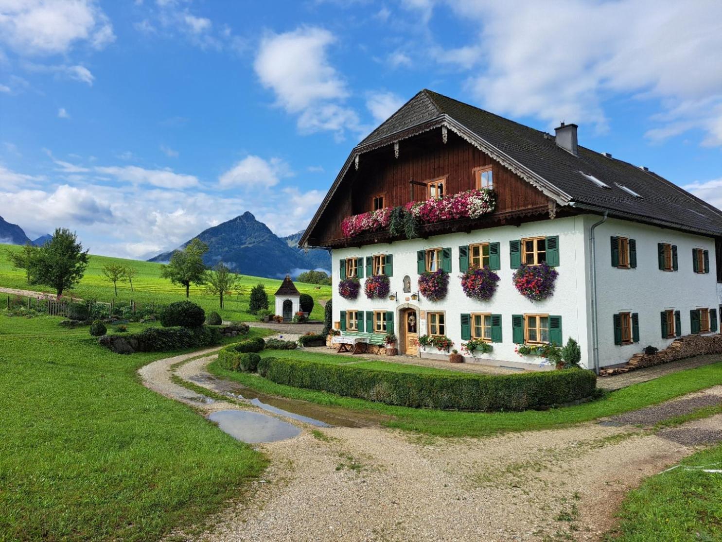 Ferienhof Brunbacher Wolfgangsee Saint Wolfgang Zewnętrze zdjęcie