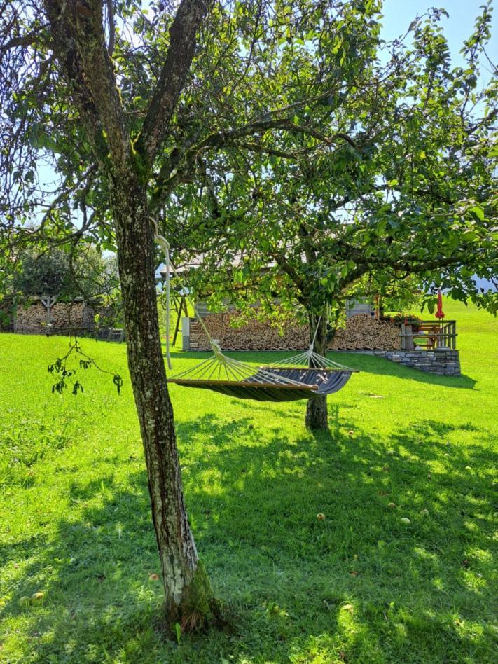 Ferienhof Brunbacher Wolfgangsee Saint Wolfgang Zewnętrze zdjęcie