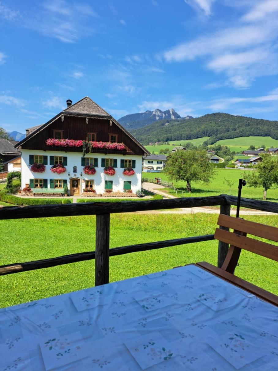 Ferienhof Brunbacher Wolfgangsee Saint Wolfgang Zewnętrze zdjęcie