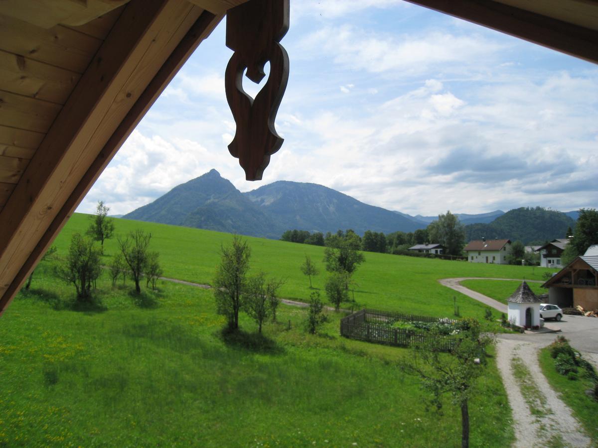 Ferienhof Brunbacher Wolfgangsee Saint Wolfgang Zewnętrze zdjęcie